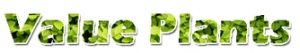 A & D Pope Wholesale Nurseries