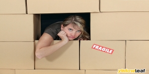 Removals Greenwich